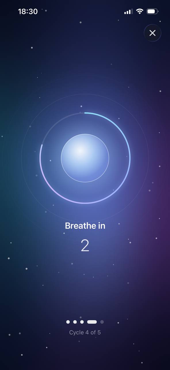 The Daytiko breathing screen with a guided practice.